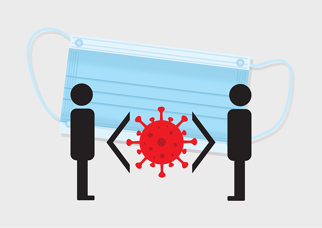 노화를 늦추는 면역력 강화 전략