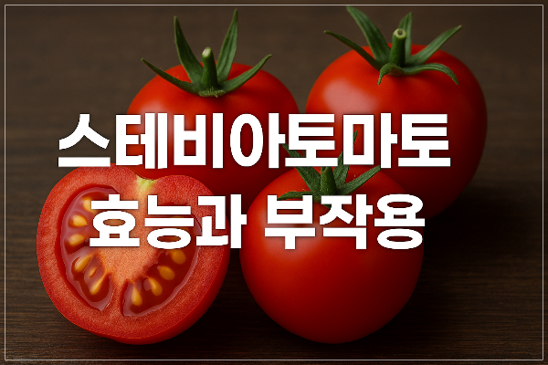 스테비아토마토 효능과 부작용
