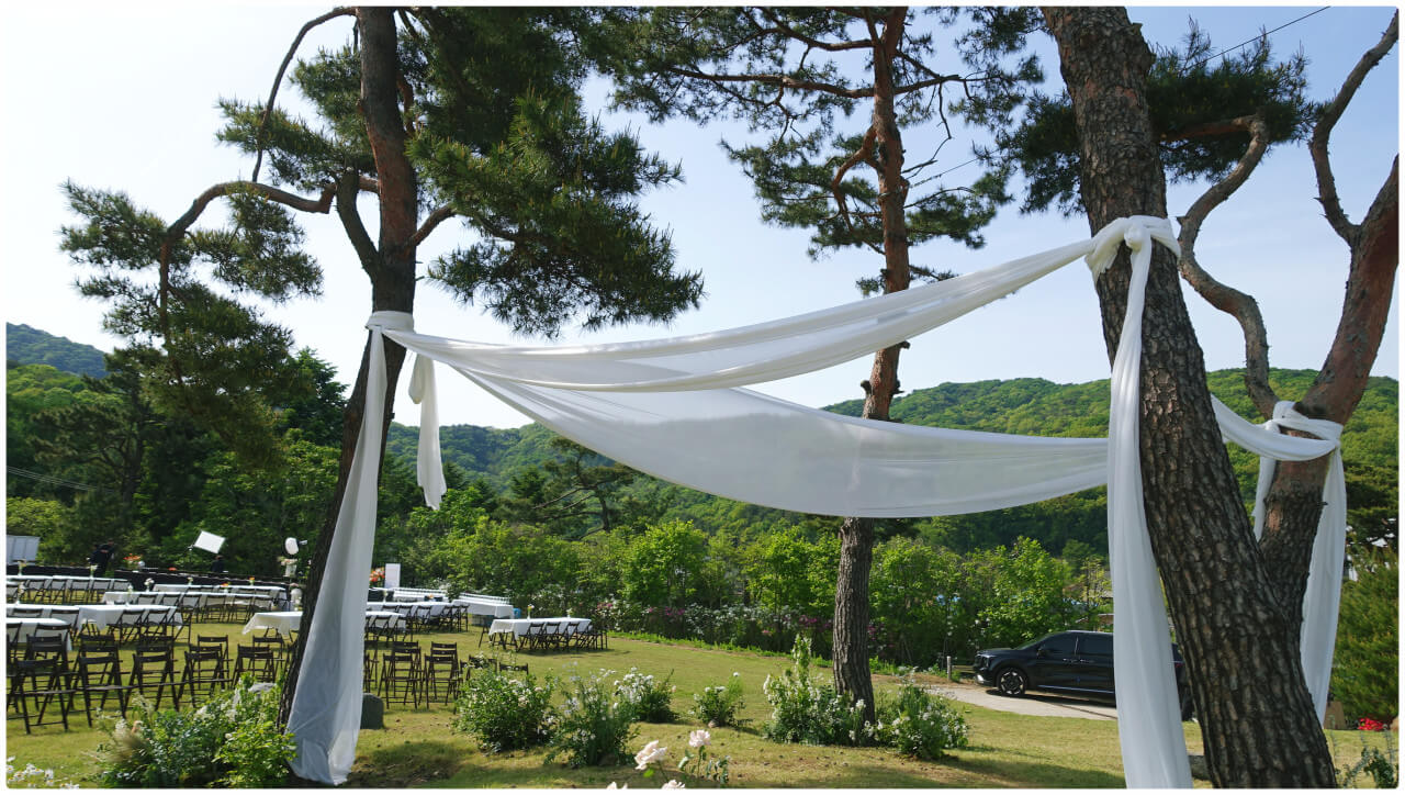 생생정보 2302회 웨딩사업 성공스토리! 오산컨벤션 웨딩뷔페, 시즌알렉스 웨딩드레스, 새움타워 스몰웨딩 장소 예비부부 필수 체크사항