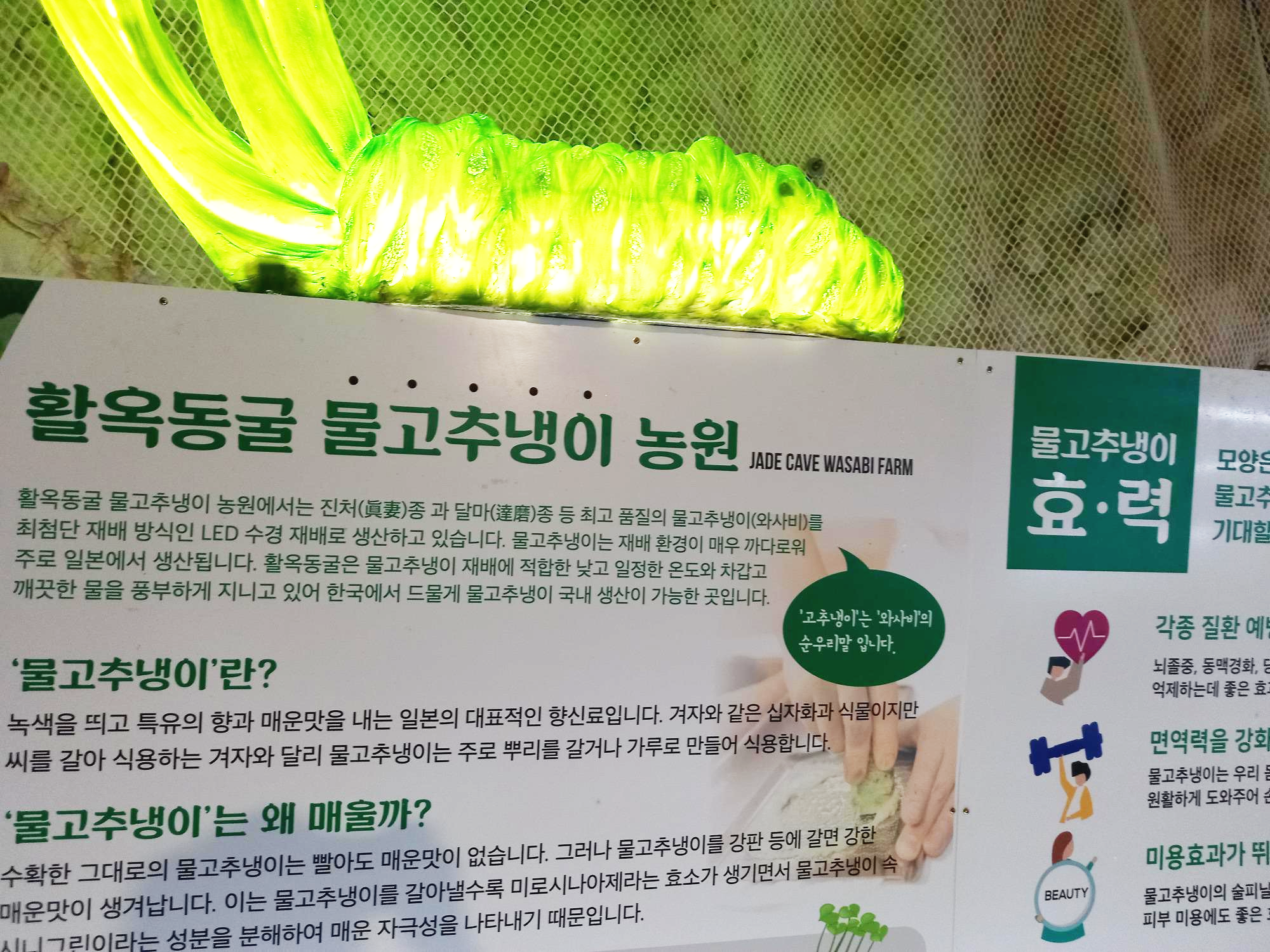 충주 활옥동굴