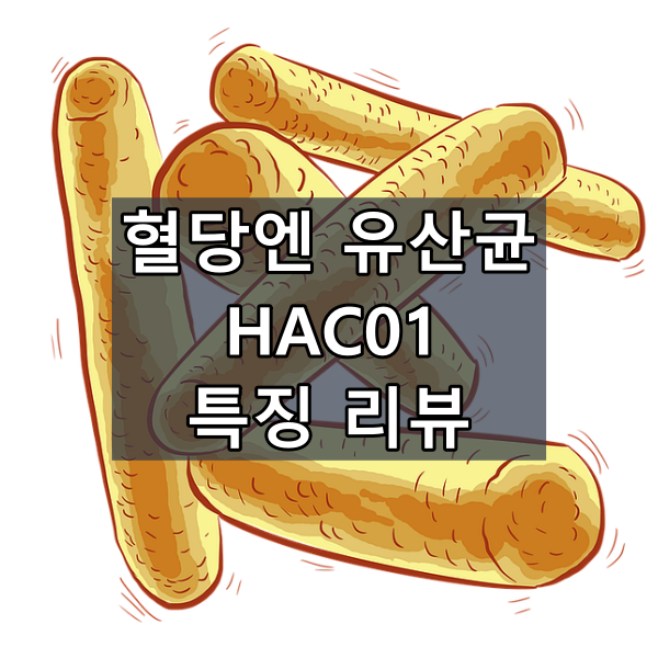 혈당엔 유산균 HAC01 대표이미지