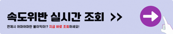 속도위반 실시간 조회하기