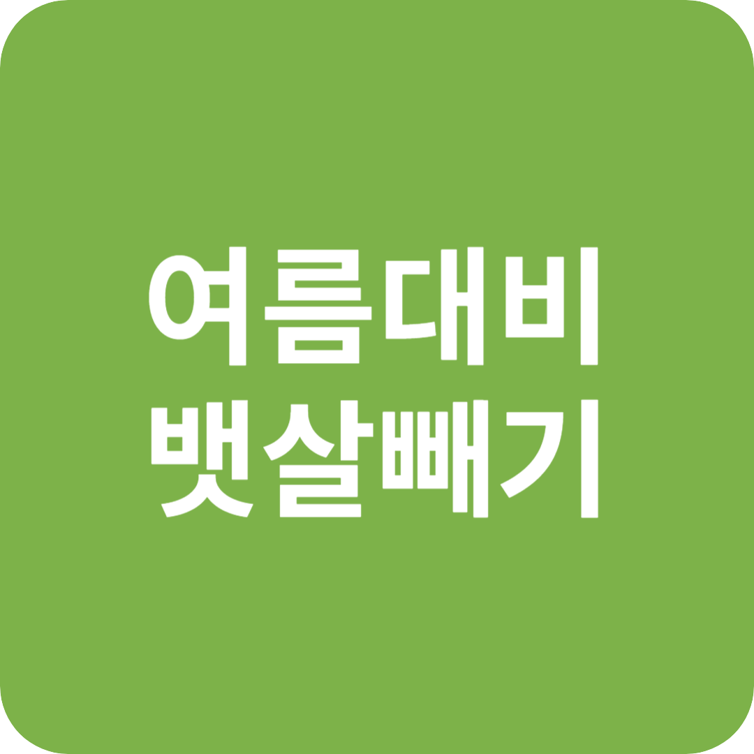 여름대비뱃살빼기