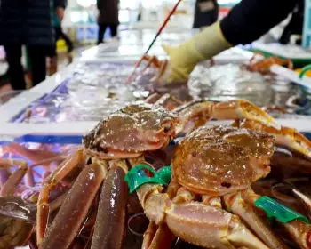 영덕 대게축제_12