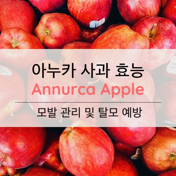 [건강식품] 모발 관리로 탈모 예방에 도움되는 아누카 사과의 효능