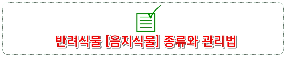 반려식물 [음지식물] 종류와 관리법