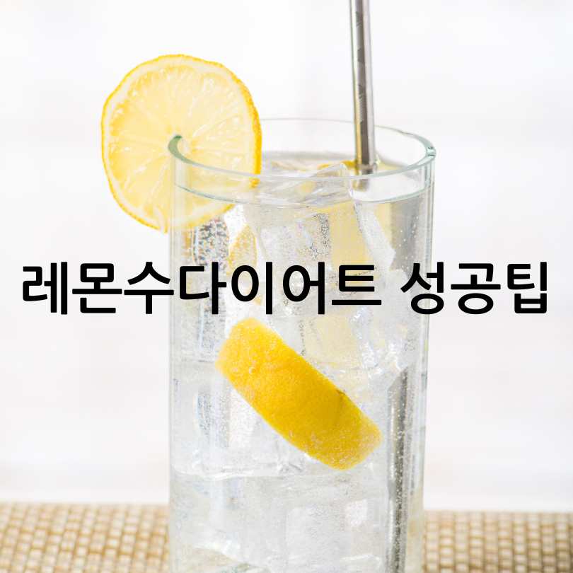 급찐급빠레몬수다이어트