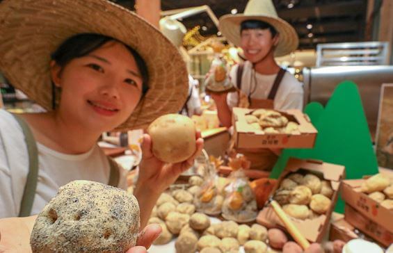 감자빵 대표 이혼소송