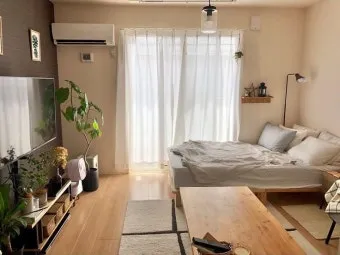 작은 원룸 식물배치 저조도선택 물주기 공간절약 아이디어_9