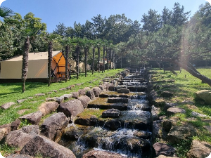 글램핑장 이미지 출처: 하늘빛 수목정원 홈페이지