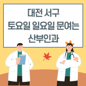 대전 서구 토요일 일요일 산부인과 진료 문여는 병원 리스트