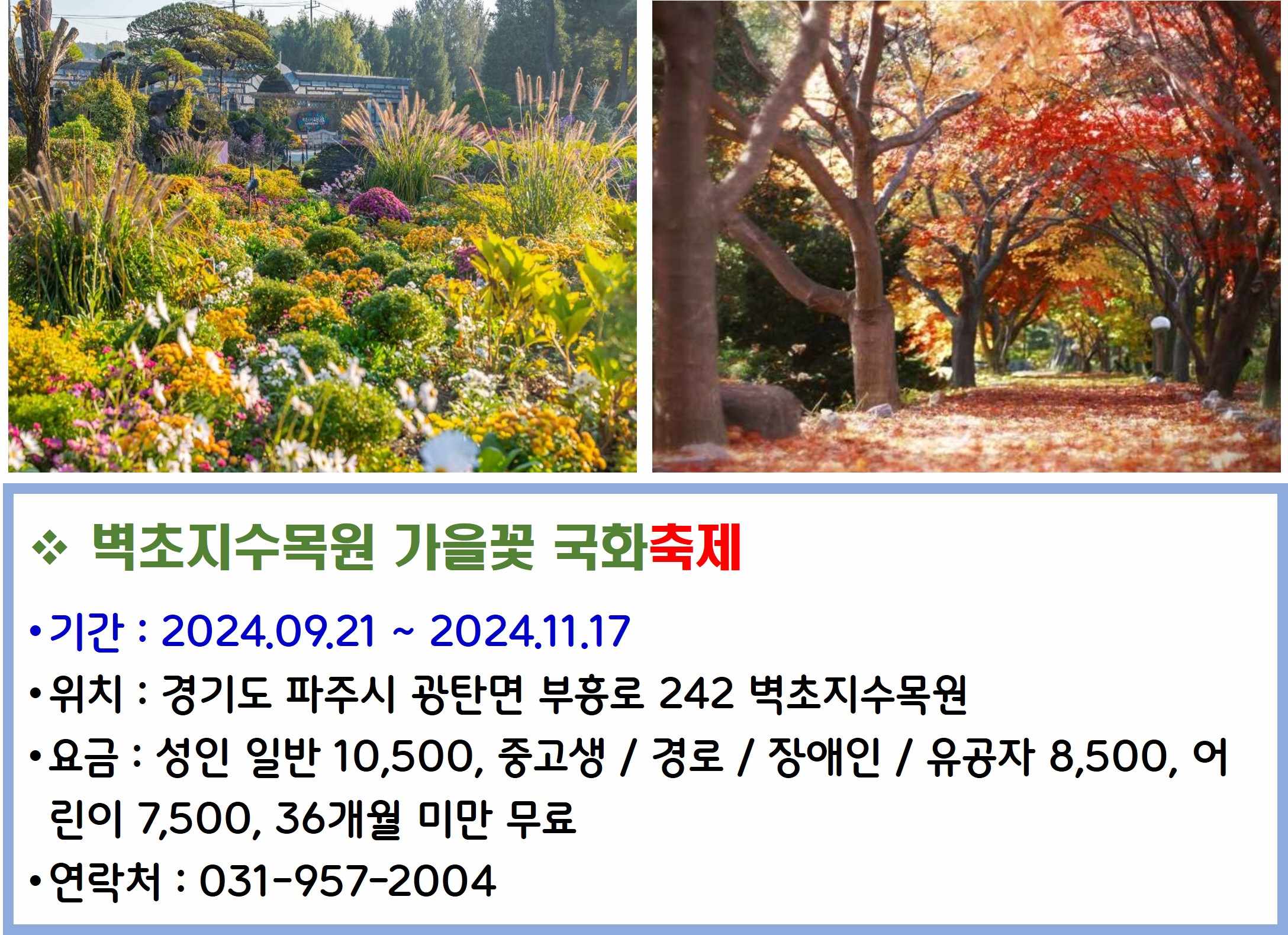 벽초지수목원 가을꽃 국화축제