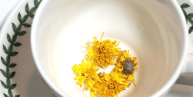 찻잔에 들어 있는 국화꽃 네 송이