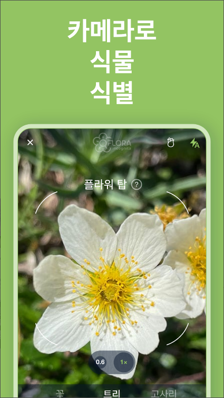 꽃 이름 찾기 어플(Flora Incognita), 꽃의 사진을 찍어 꽃의 이름 알아보기