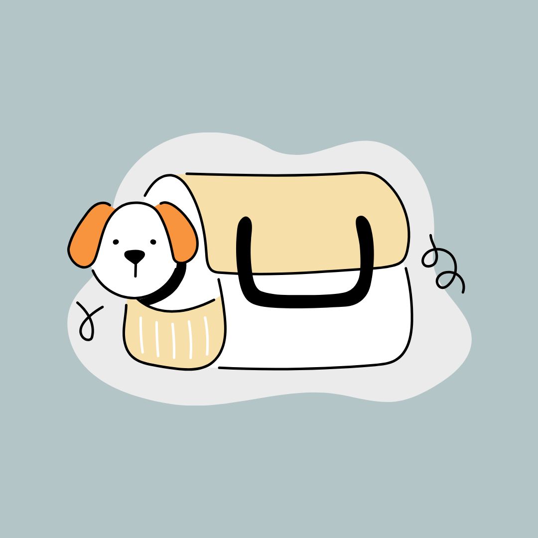 반려동물과/여행하기/대중교통별/이용방법