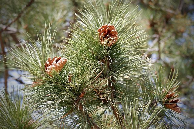 항문 간지러움 이유