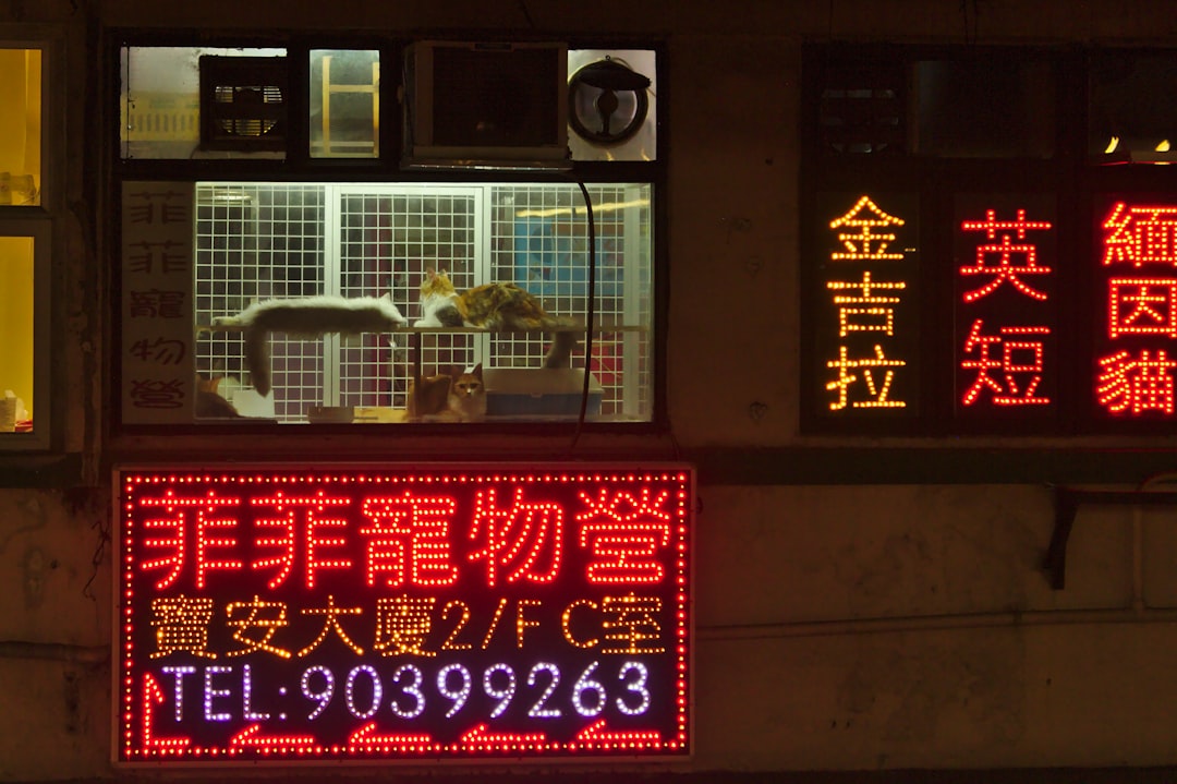 노임단가 → labor rate