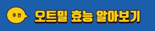 병아리콩 효능 5가지