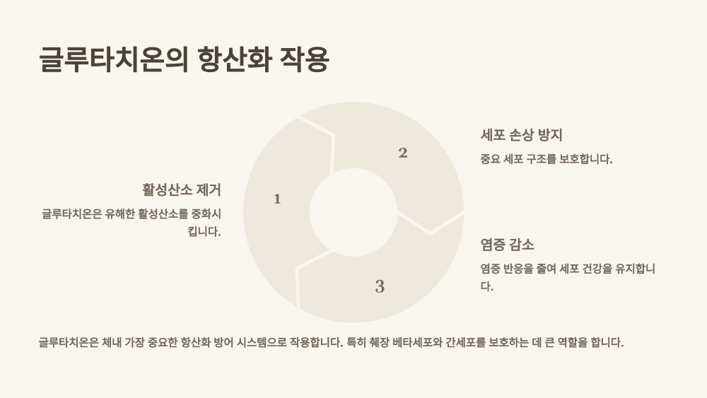글루타치온의 항산화 작용