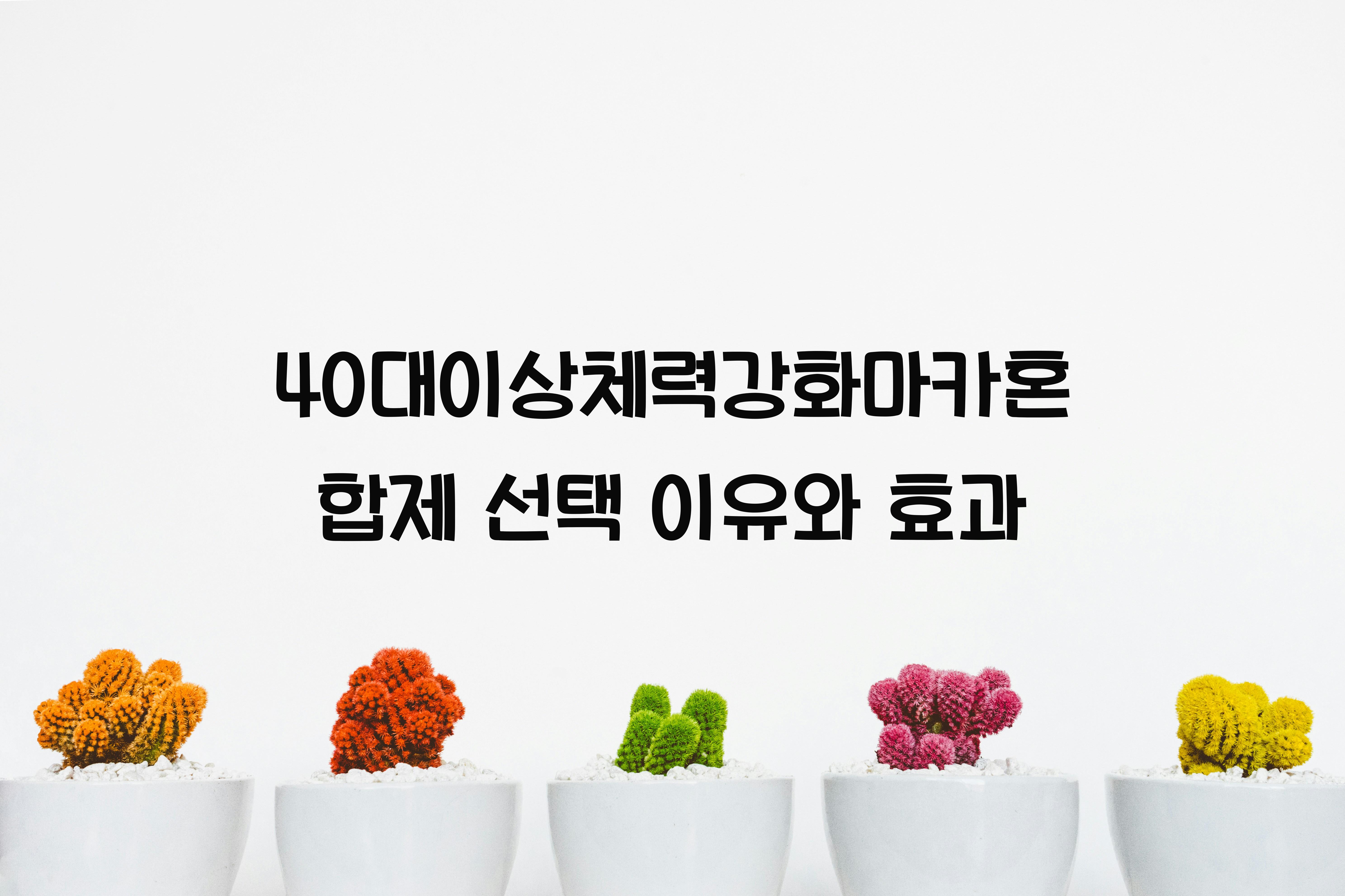 40대이상체력강화마카혼합제