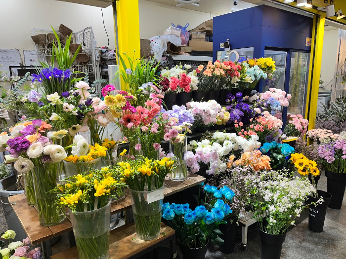 싱싱하고 예쁜 꽃들