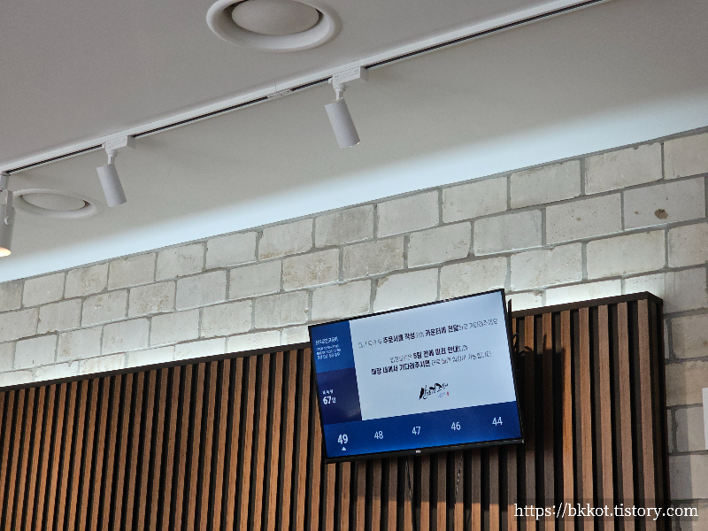 산으로간고등어