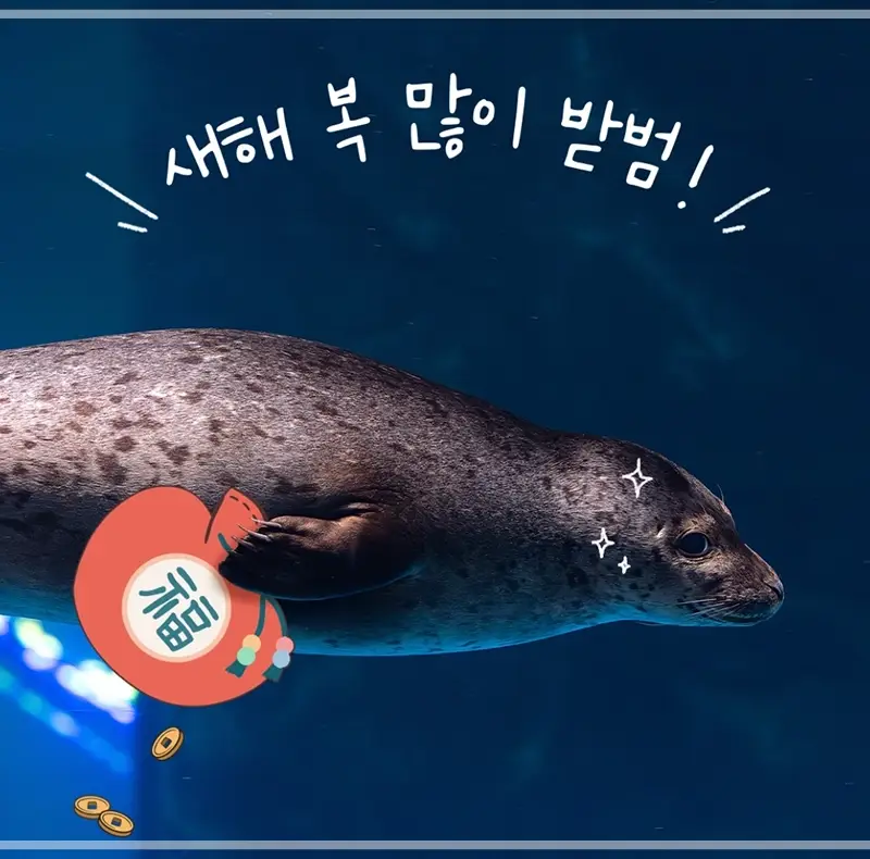 롯데월드-아쿠아리움-할인-요금-운영시간