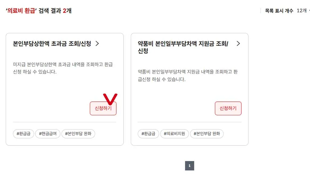 의료비 본인부담상한액 초과금 조회