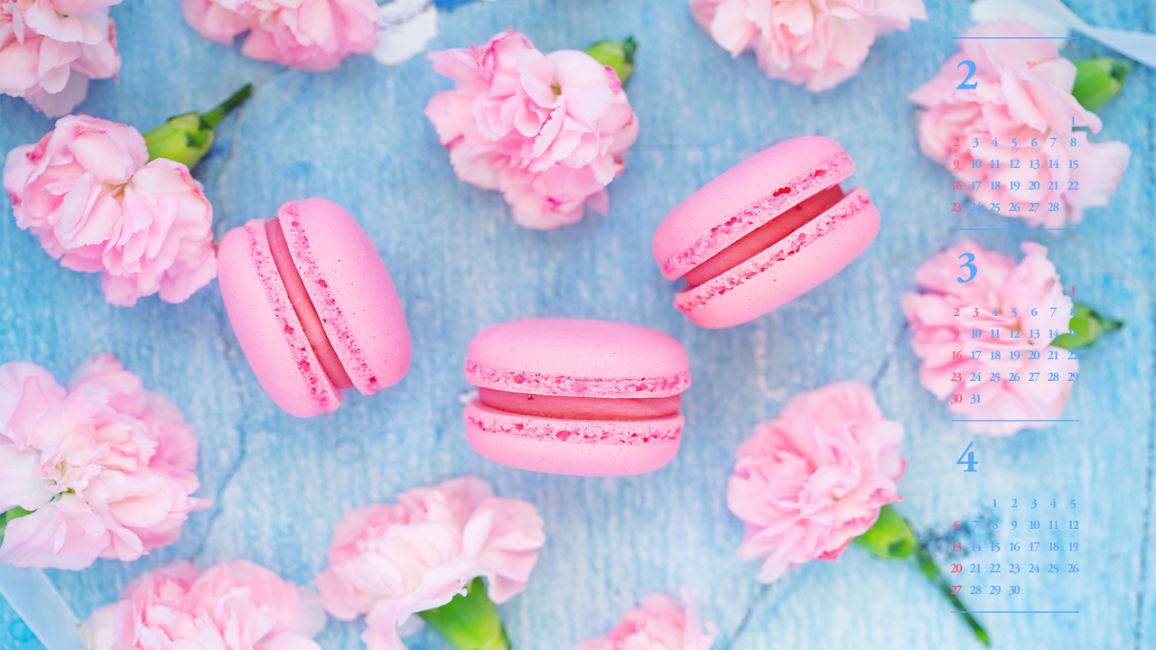 11 핑크 마카롱 B - 2025년3월 노트북배경화면