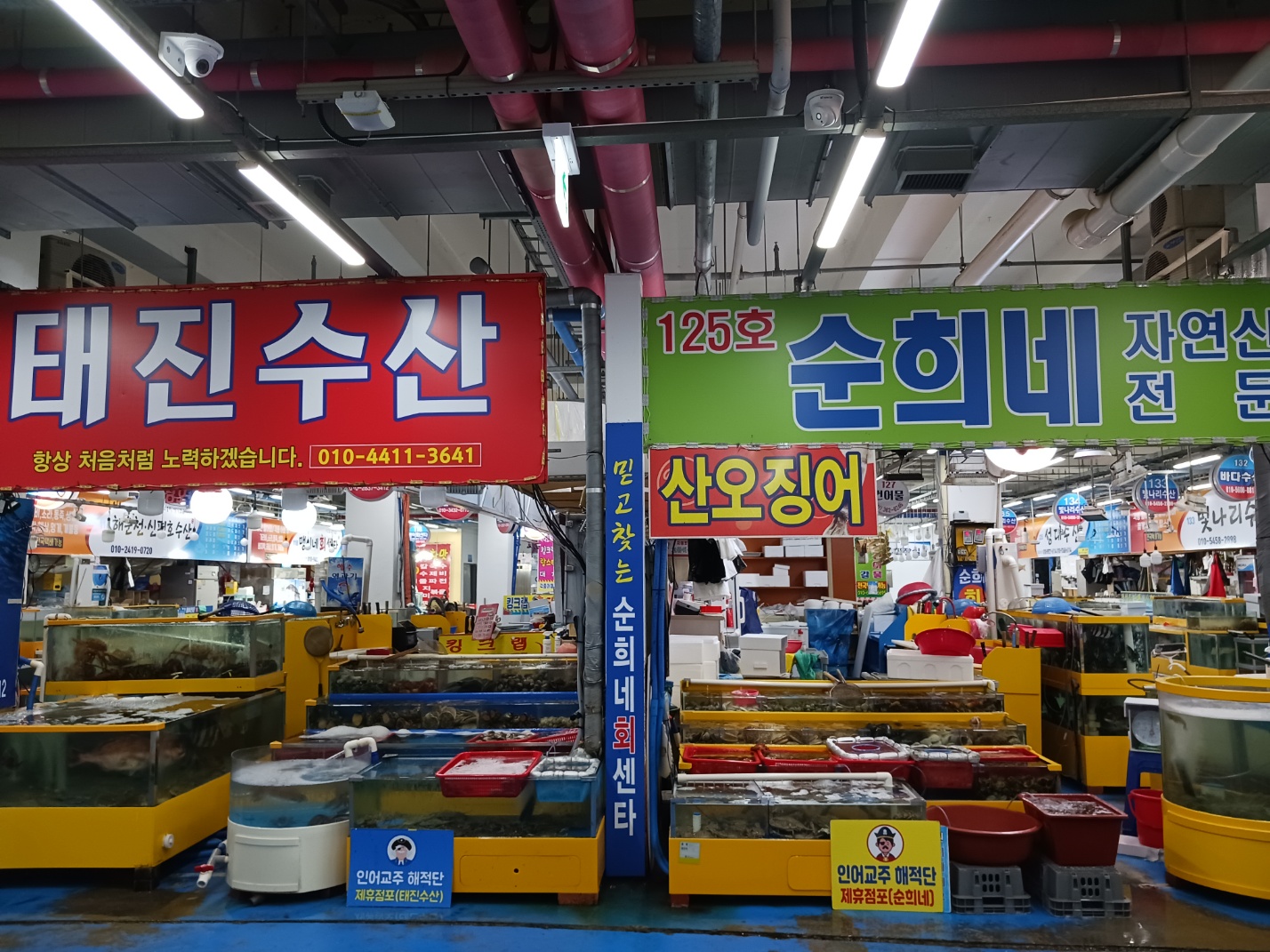 삽교호전망대종합어시장