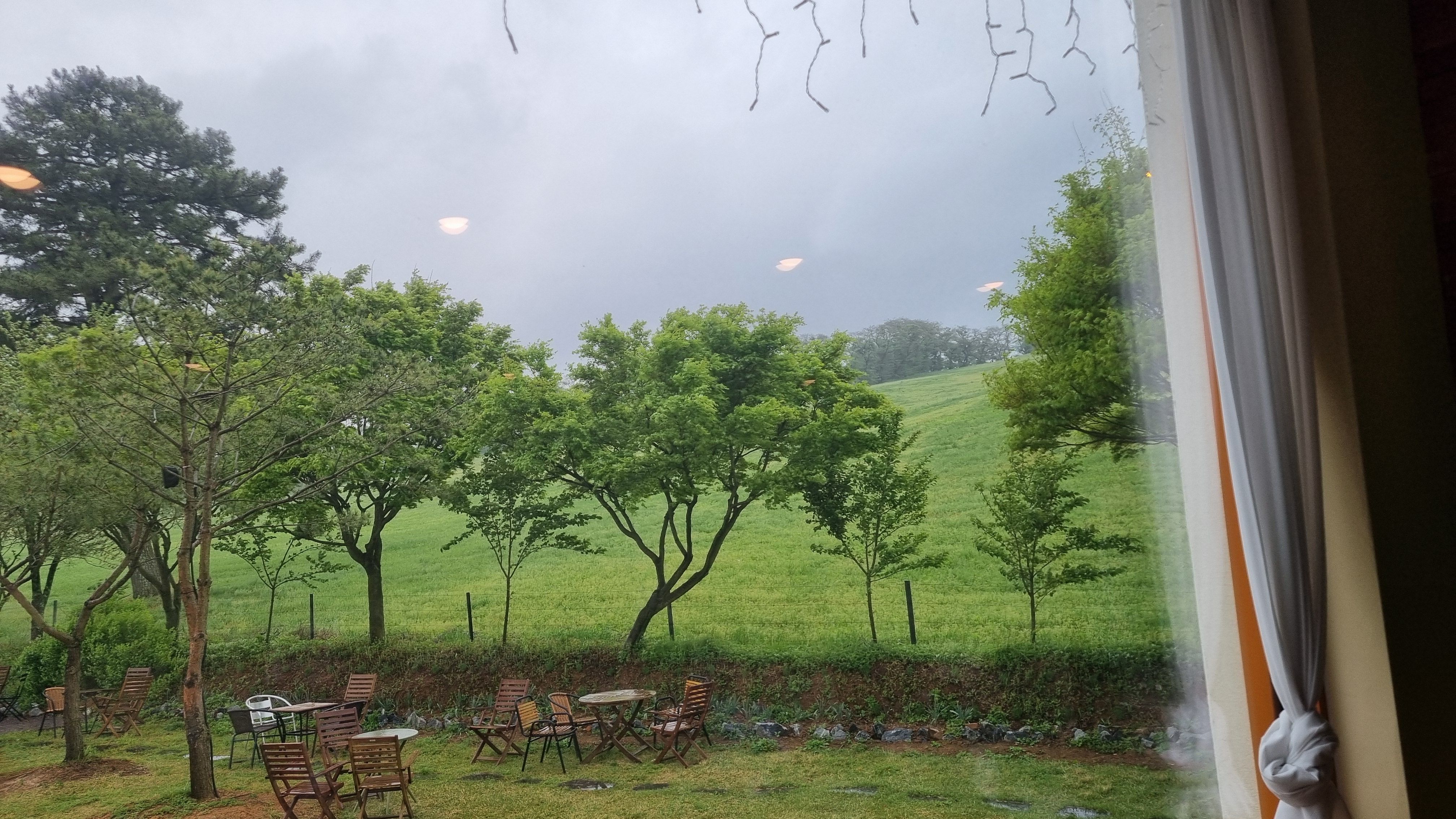 흰당나귀 서산목장 카페