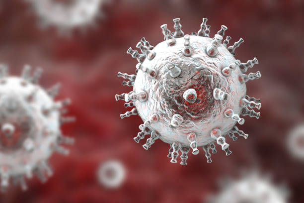 헤르페스 2형 단순 포진 바이러스 증상