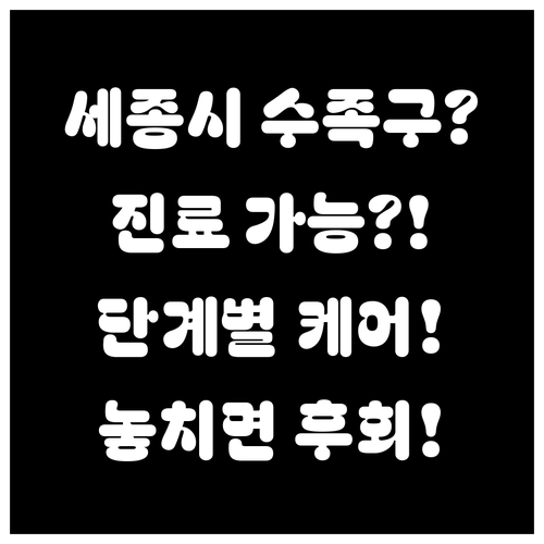 세종시 수족구 진료 가능한 곳과 단계..