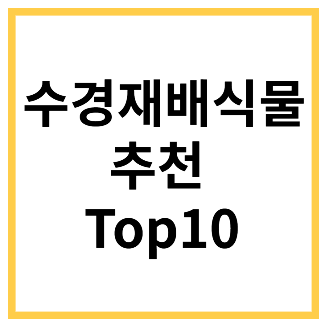 수경재배-식물