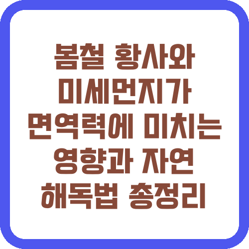 봄철 황사와 미세먼지가 면역력에 미치는 영향과 자연 해독법 총정리