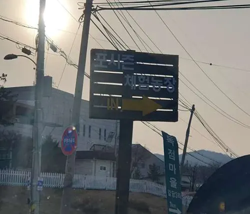 포시즌체험농장