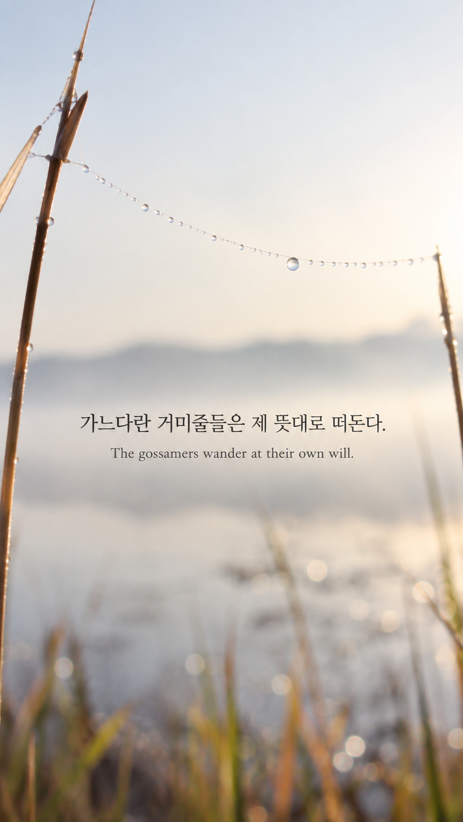 에드워드 토머스의 가벼운 자유에 관한 가을 글귀 &mdash; 한글과 영어 원문을 담은 디지털 카메라 사진