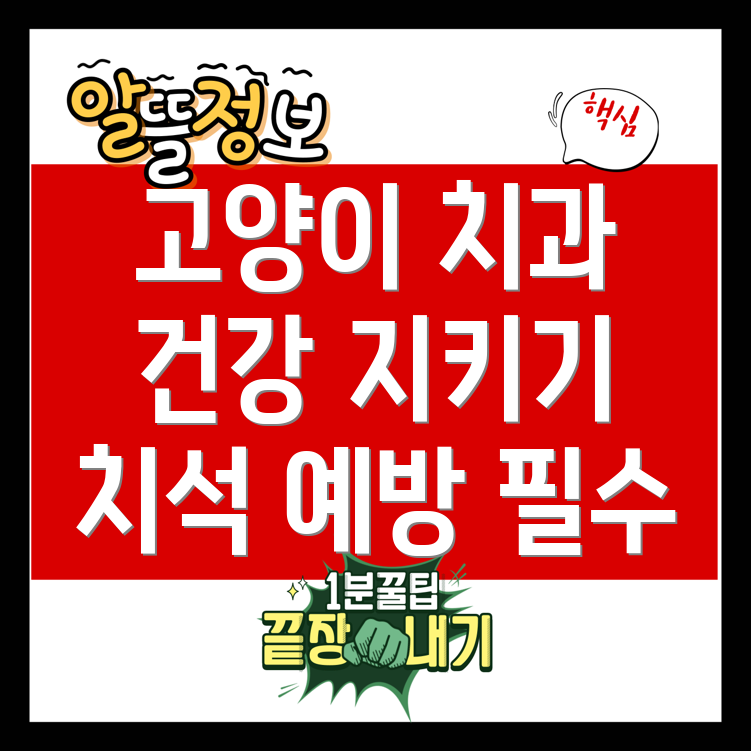 고양이 치과 건강