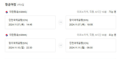 싱가포르 오후 비행