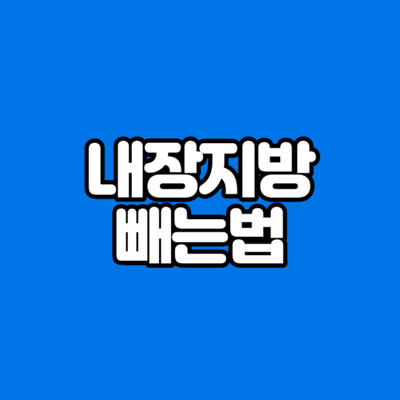 내장지방 빼는법