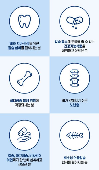락티브 어골칼슘 마그네슘 비타민D