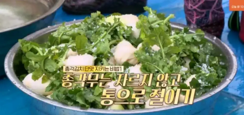 총각무 다듬고 절이기