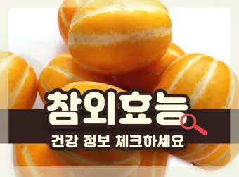 참외 효능 및 영양 정보 섭취 효과 정리_17