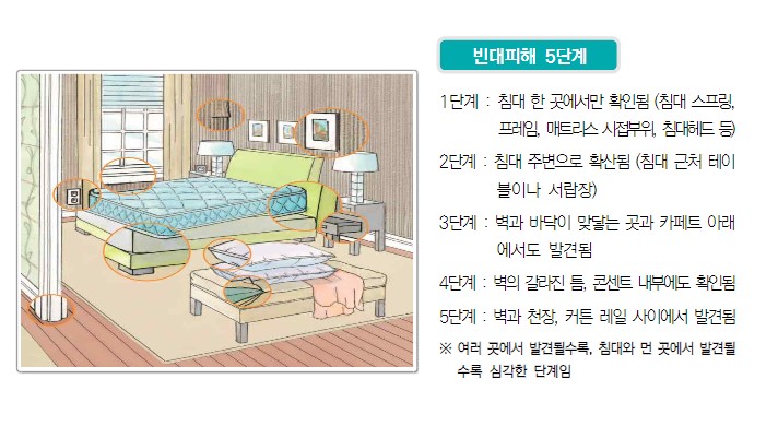 빈대물린자국