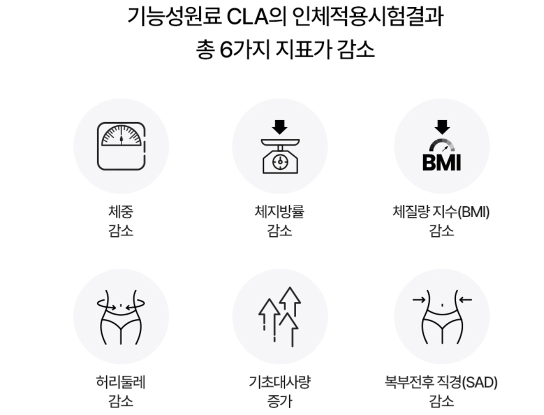 푸응 팻버닝 다이어트