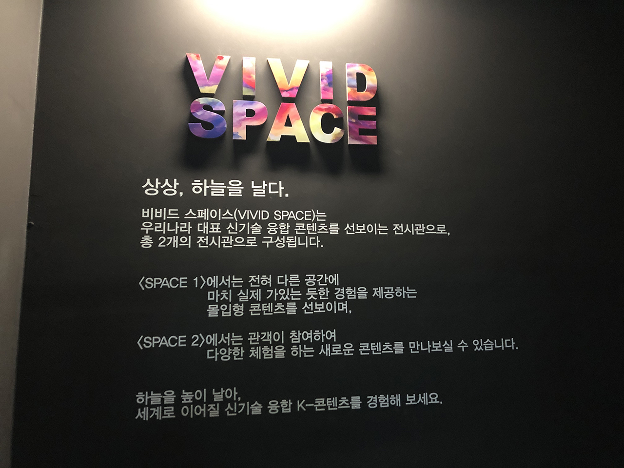 비비드 스페이스 안내
