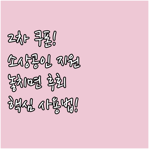 2차 소비쿠폰, 지역 소상공인 지원을..