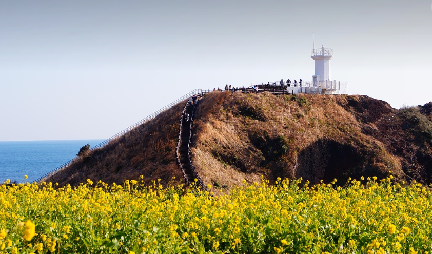 제주 vs 통영, 감성여행 어디가 좋을까? (자연, 분위기, 체험)