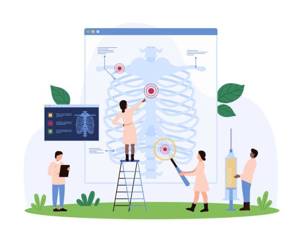 2025년 골다공증에 좋은 영양제 BEST-5 뼈 건강을 위한 확실한 선택