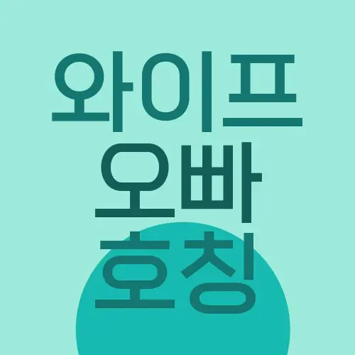 와이프 오빠 호칭